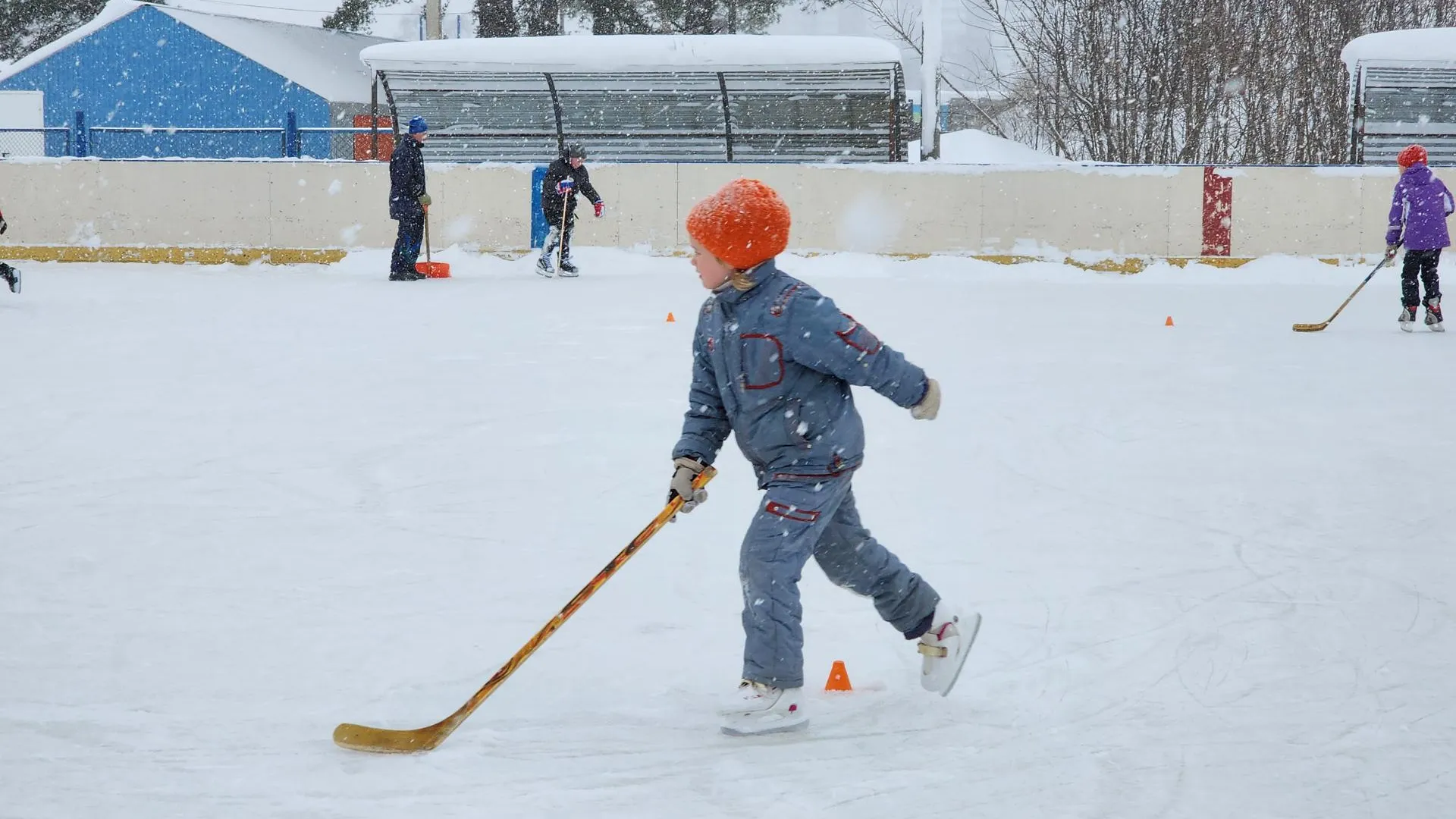 Ксения Пашуто