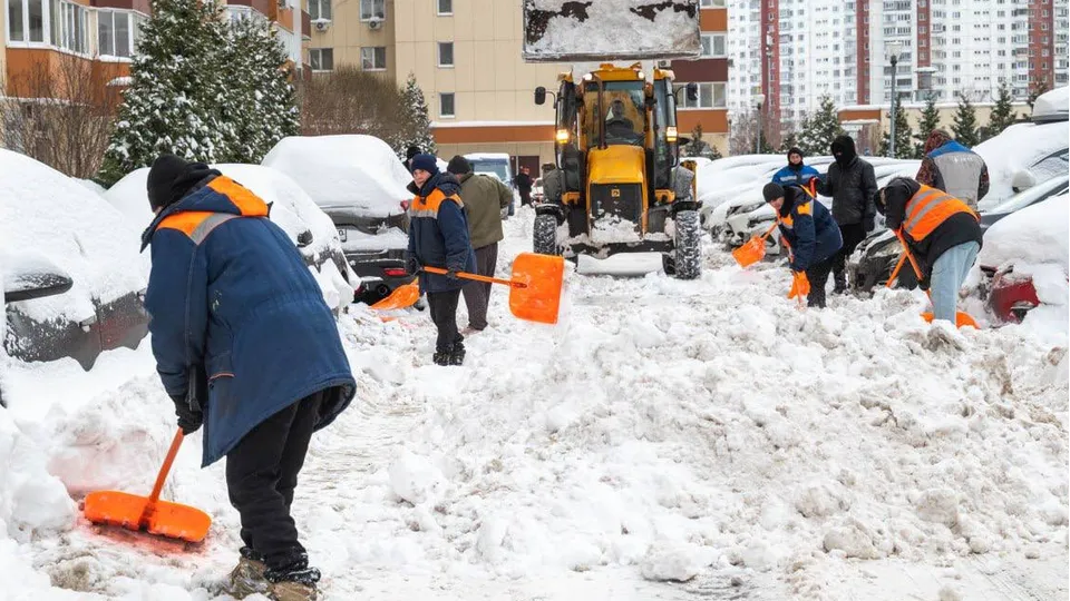 Фото: администрация г.о. Реутов