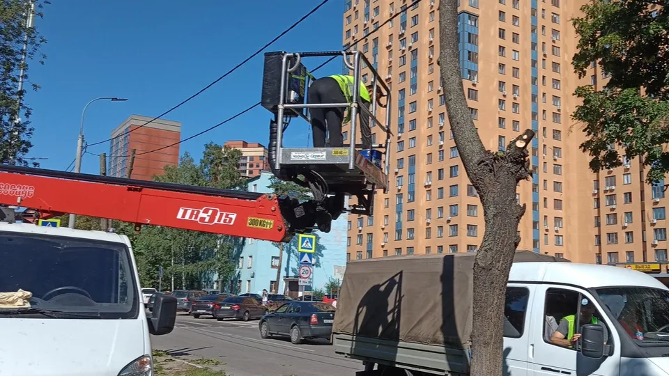 Фото: МедиаБанк Подмосковья/Ксения Казакова