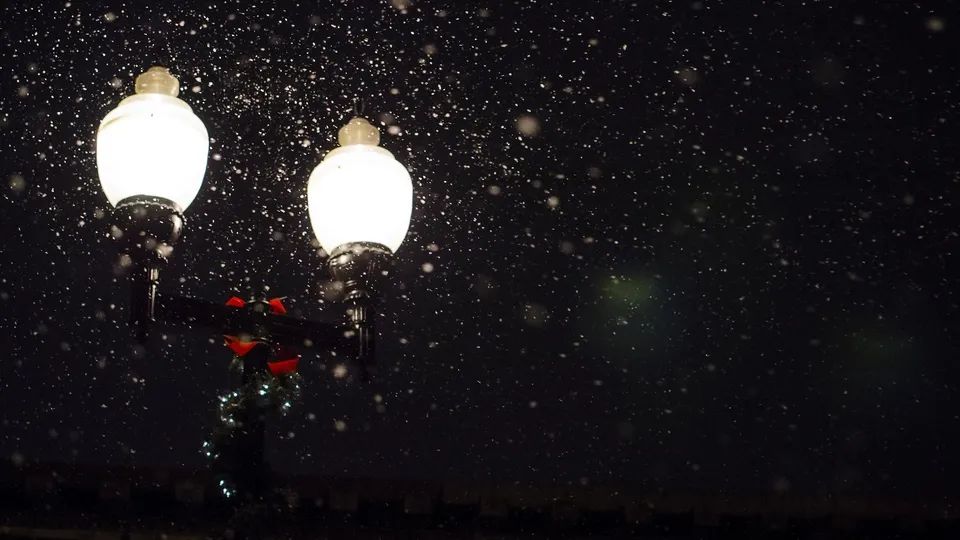 Фото: pxhere.com