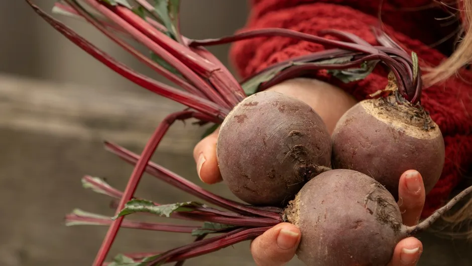 Фото: freepik.com