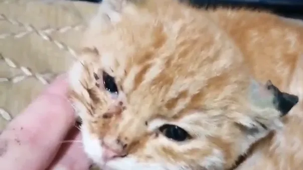 Фото: Подслушано на Глебовке (новая) / ВКонтакте