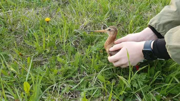 Фото: РОСИП и ИПЭЭ РАН