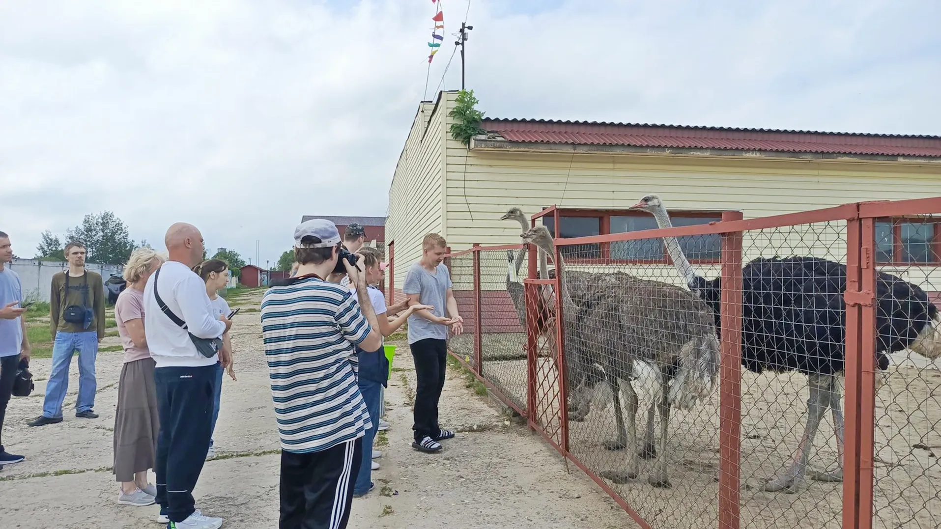 Фото: СЦ «Серпуховский»