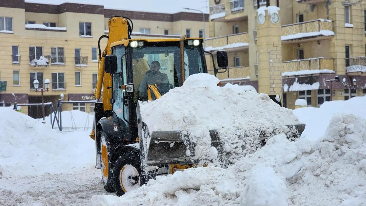 МедиаБанк Подмосковья/Екатерина Данилина