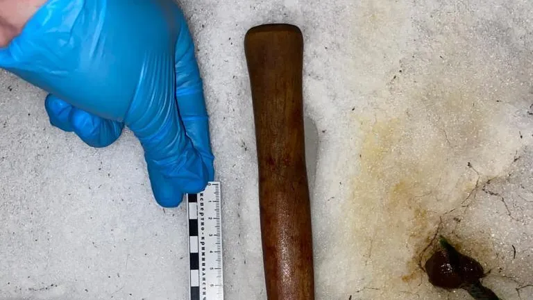 Фото ГСУ СК России по Московской области