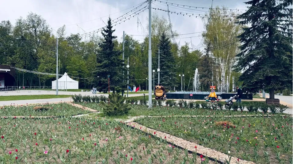 Фото: пресс-служба администрации г.о. Кашира