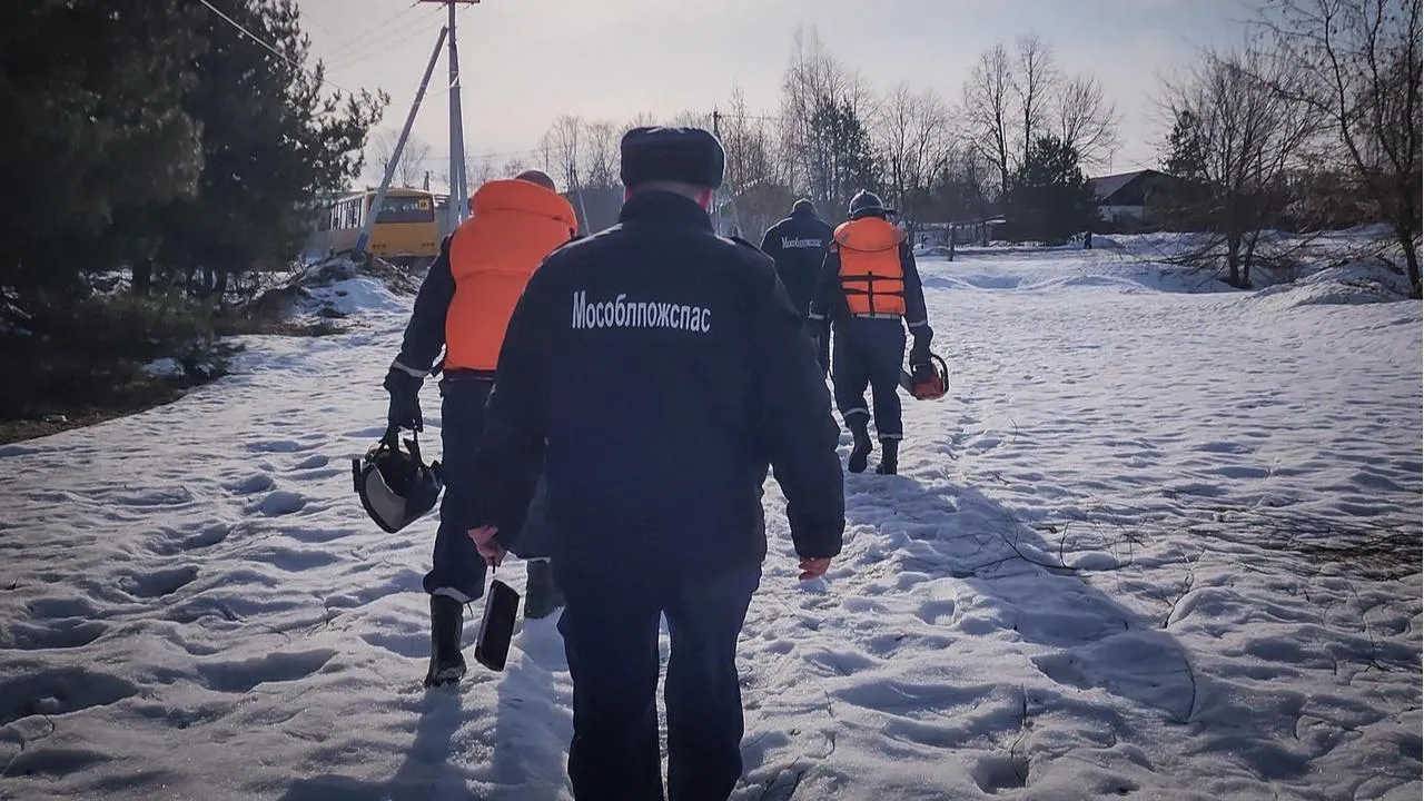 МедиаБанк Подмосковья/Ольга Антонова