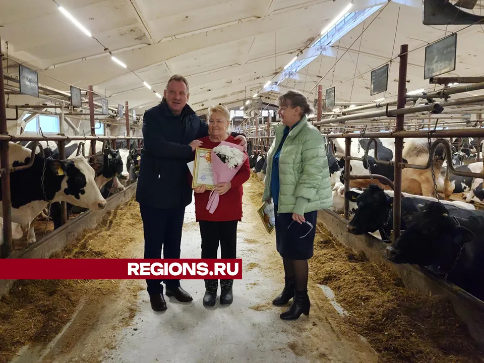 Фото: Станислав Орлов