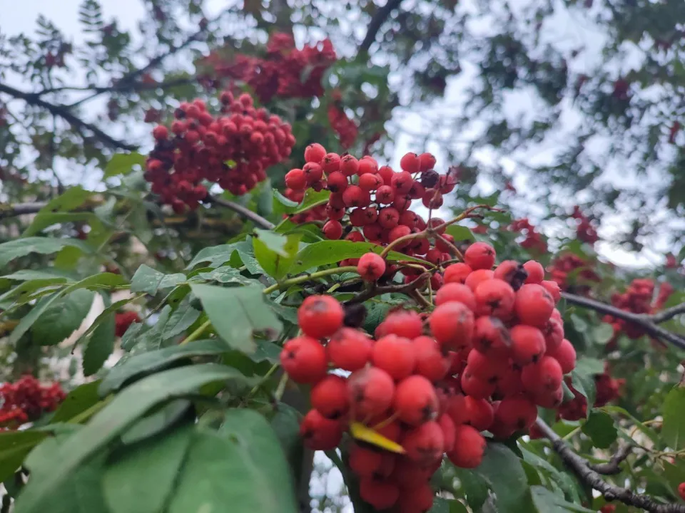 Фото: REGIONS/Елена Забелина