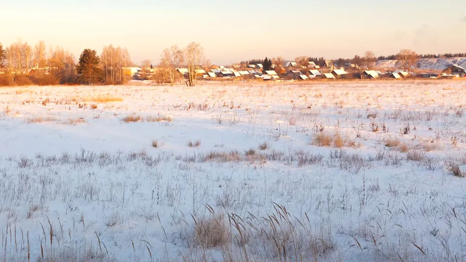 Фото: freepik.com