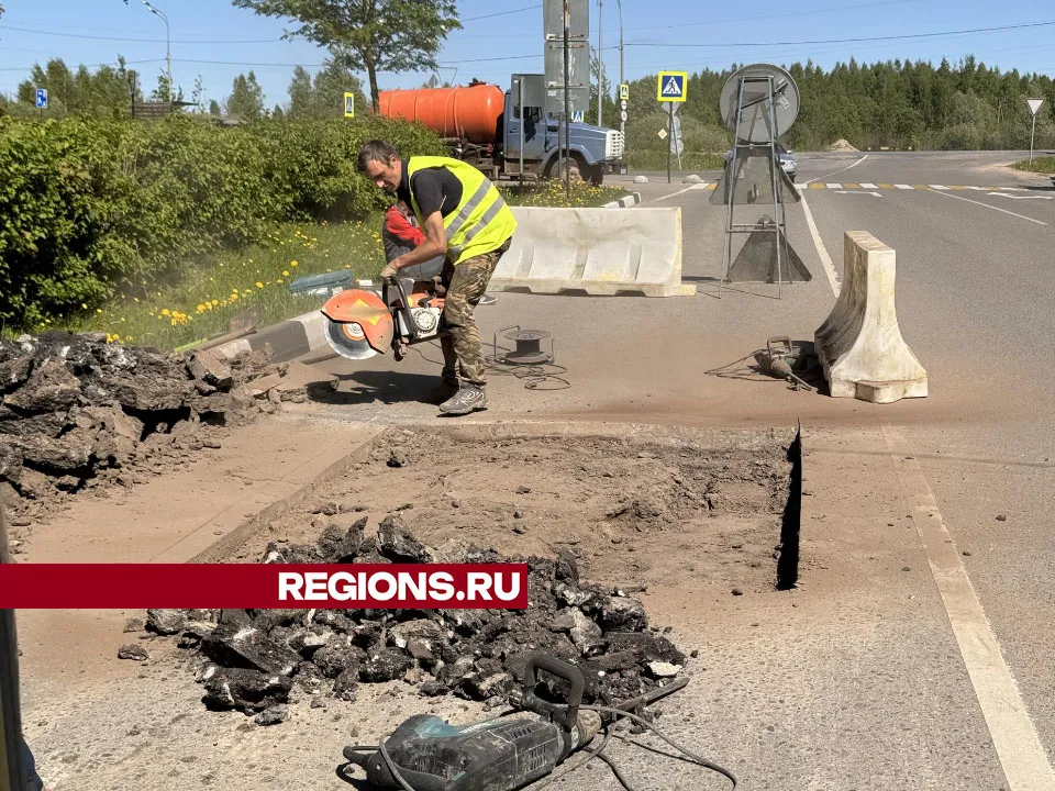 Фото: Татьяна Рунова