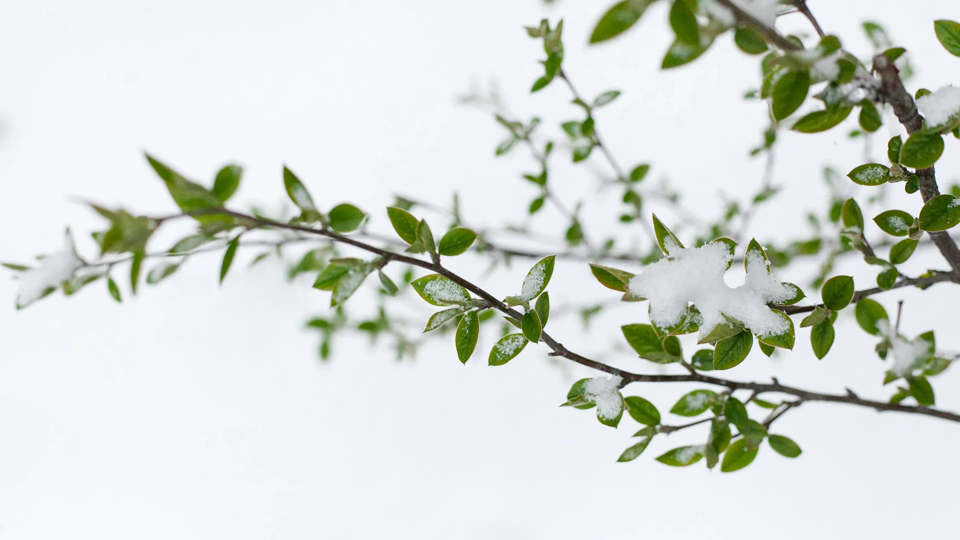 медиасток.рф