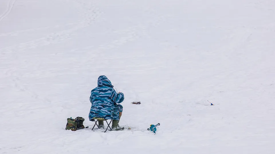 Фото: медиасток.рф