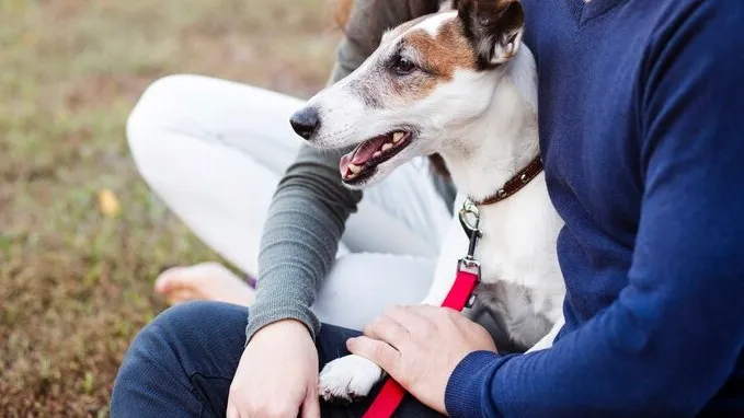 Фото: freepik.com