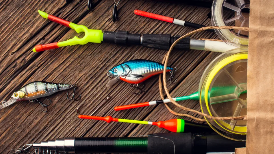 Фото: freepik.com