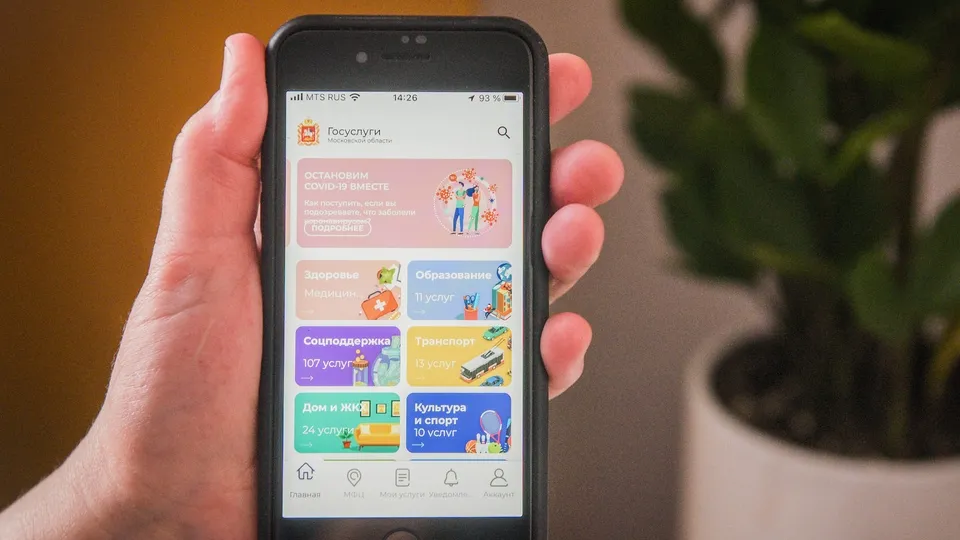 Фото: медиасток.рф