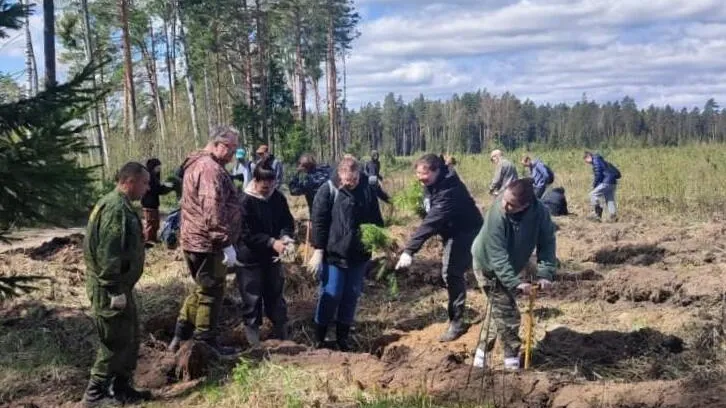 Фото: Комитет лесного хозяйства Московской области
