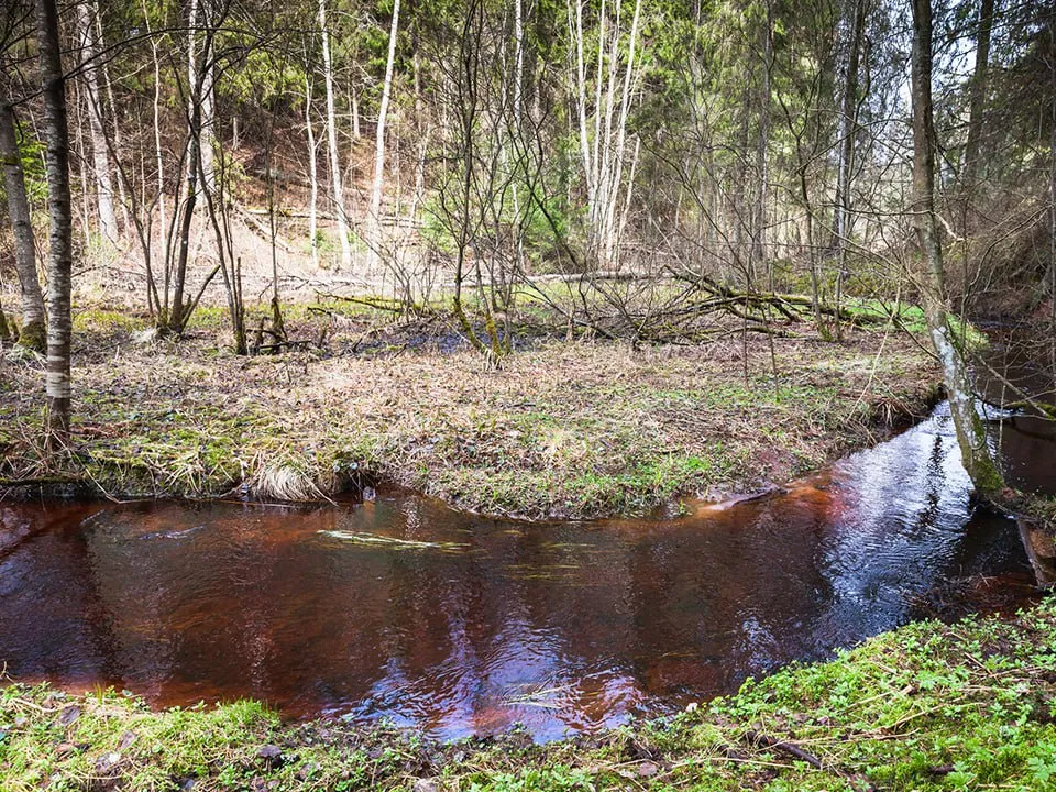 Фото: istockphoto.com