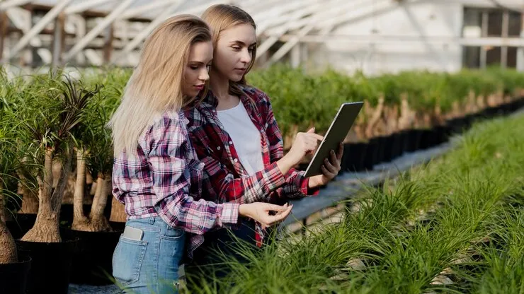 Фото: freepik.com