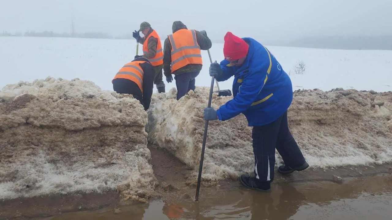 МедиаБанк Подмосковья/Дмитрий Беденко