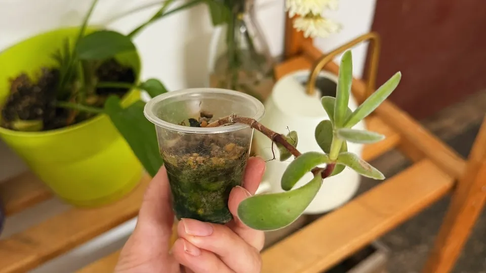 Фото: Арт-Квартал «Патефонка»