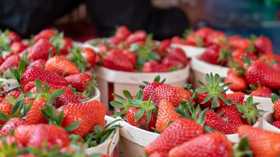 Фото: istockphoto.com