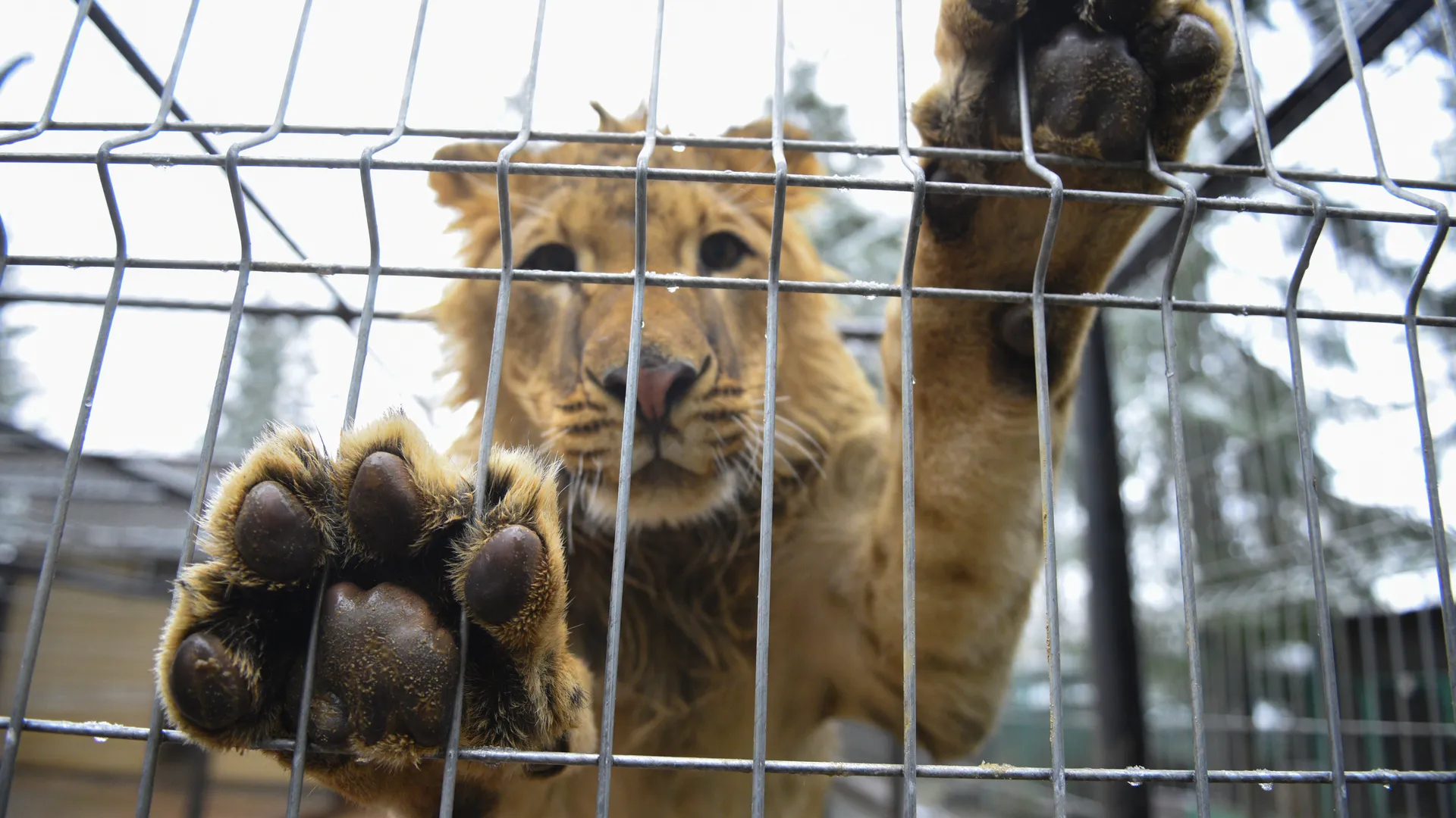 медиасток.рф