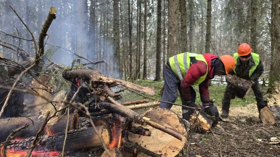 Фото: REGIONS/Яна Шаливская