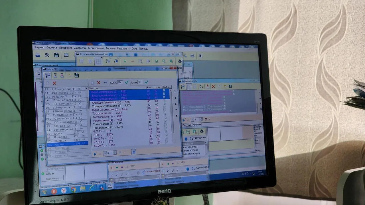 REGIONS/Валерия Тингаева