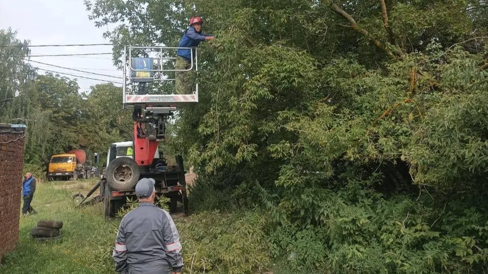 Фото: пресс-служба Администрации г.о. Кашира