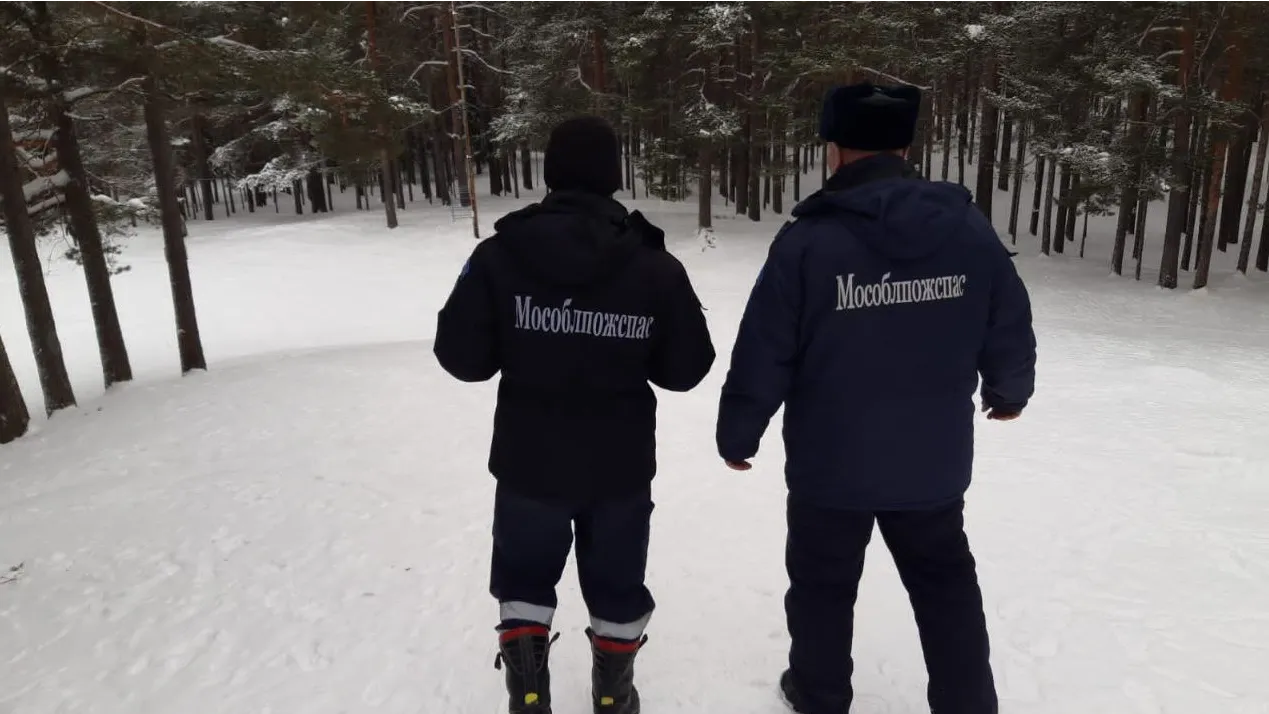 Источник: ГКУ "Мособлпожспас"