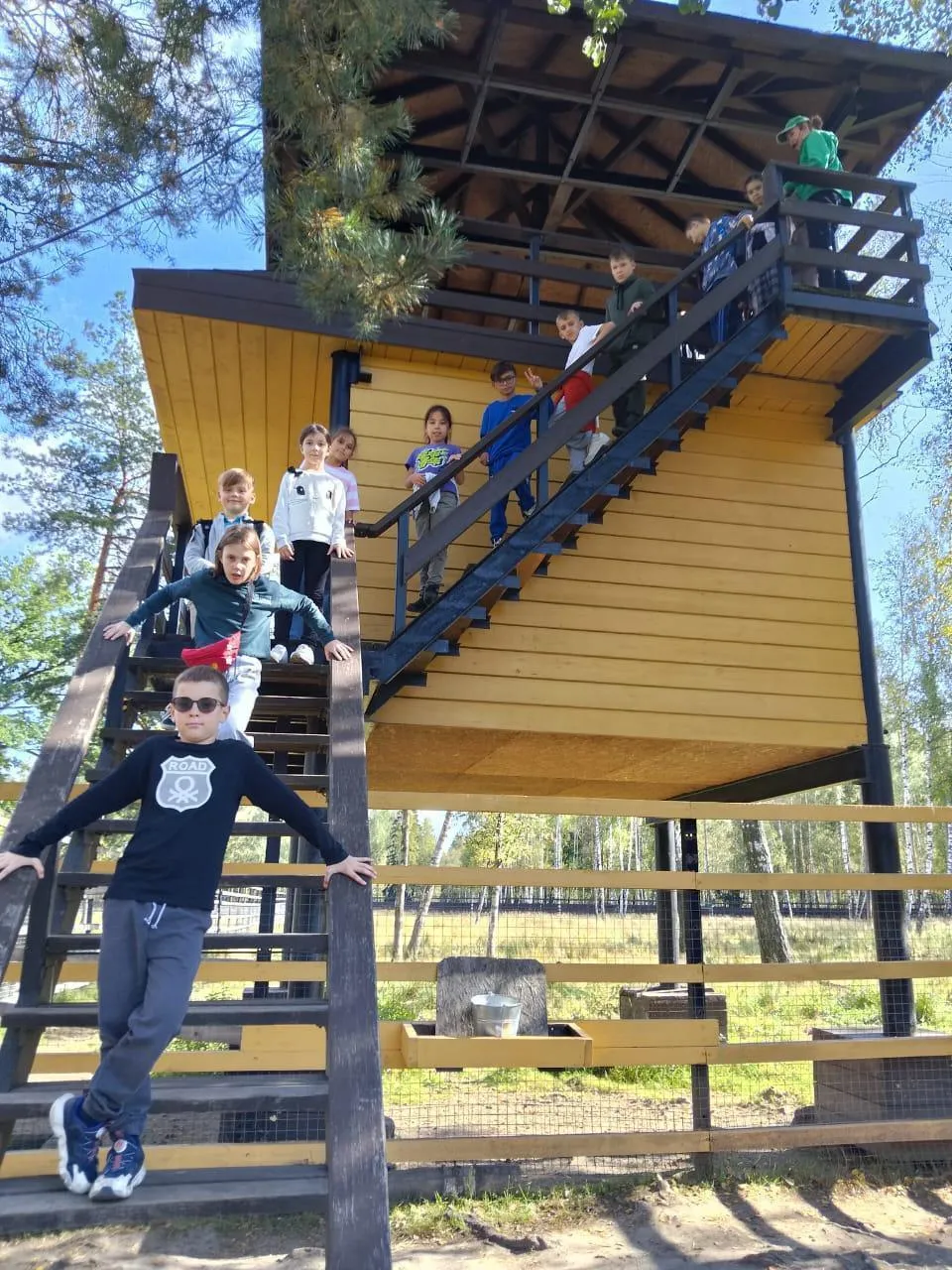 Фото: Министерство образования Московской области