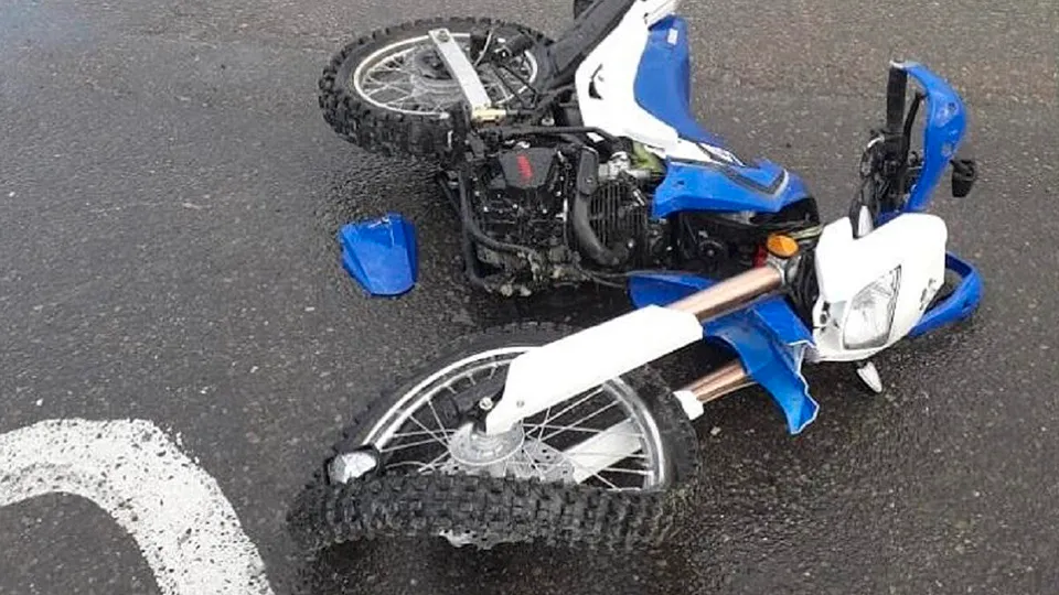 Фото: ОГИБДД ОМВД России по м.о. Зарайск