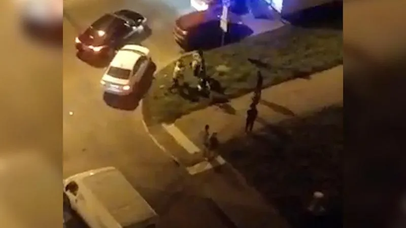 Пьяный водитель подрался с сотрудниками ДПС в Люберцах