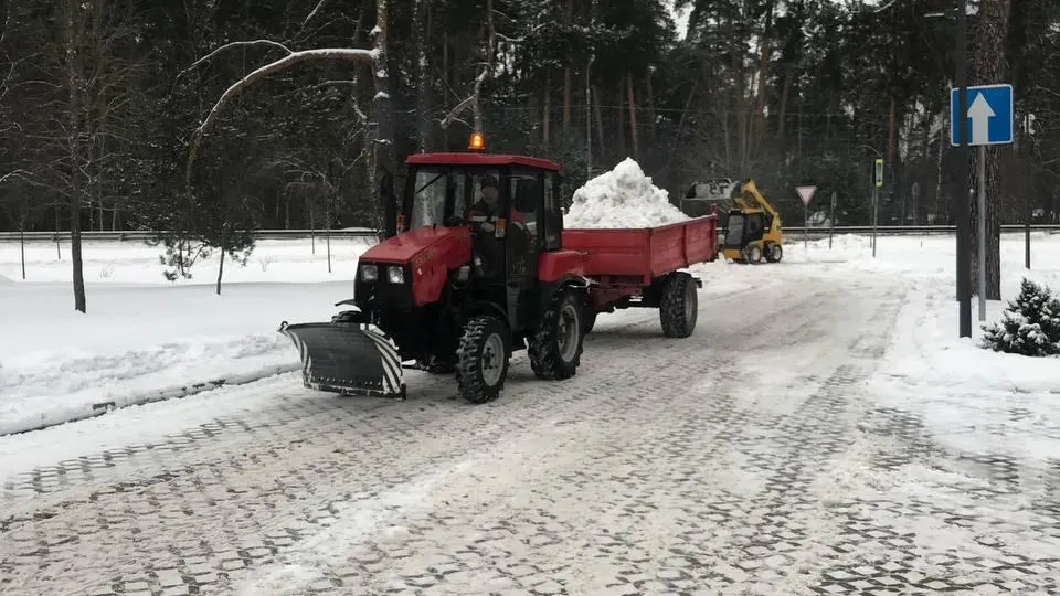 Фото: министерство благоустройства Подмосковья
