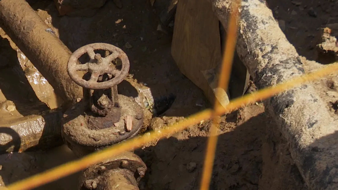 Фото: МедиаБанк Подмосковья/Данила Кирьянов