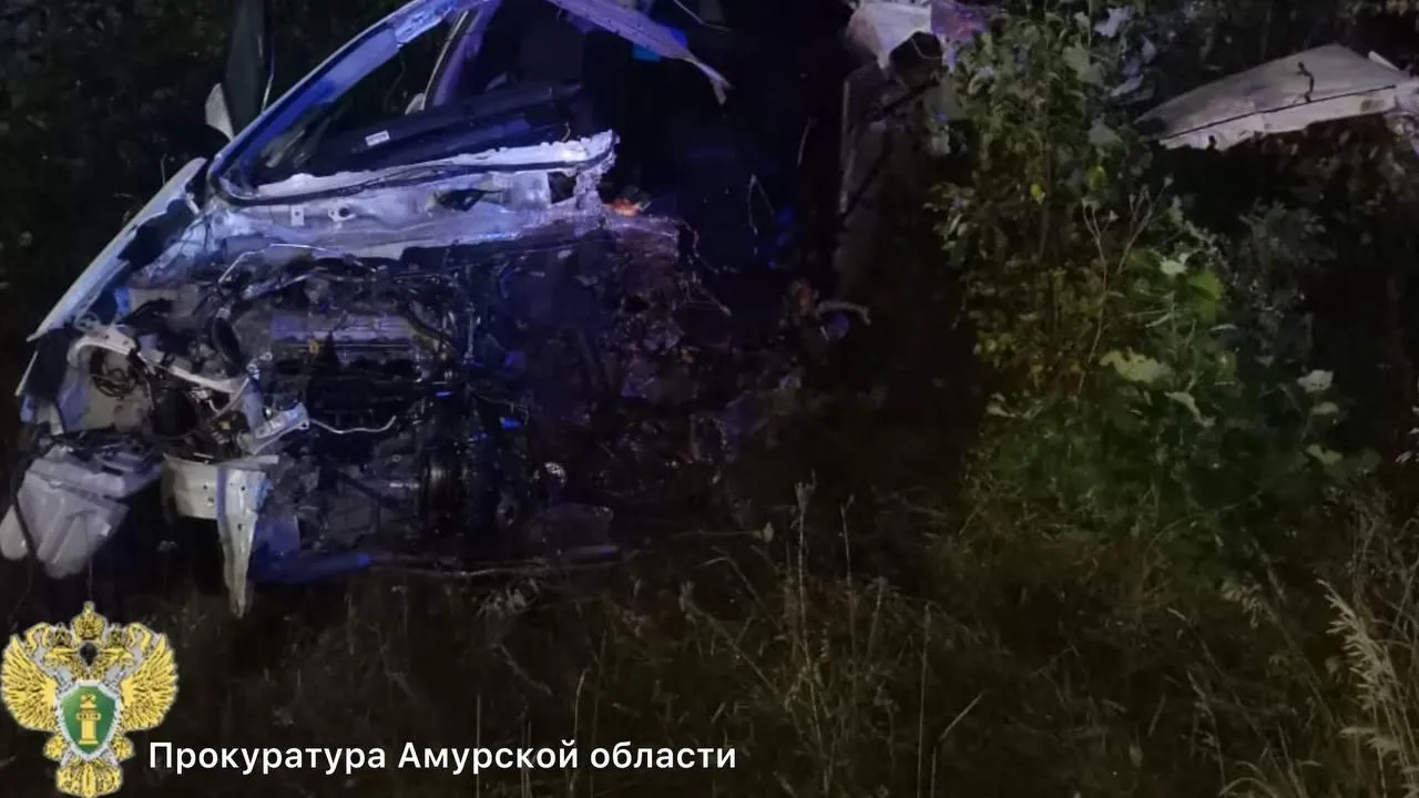 Прокуратура Амурской области