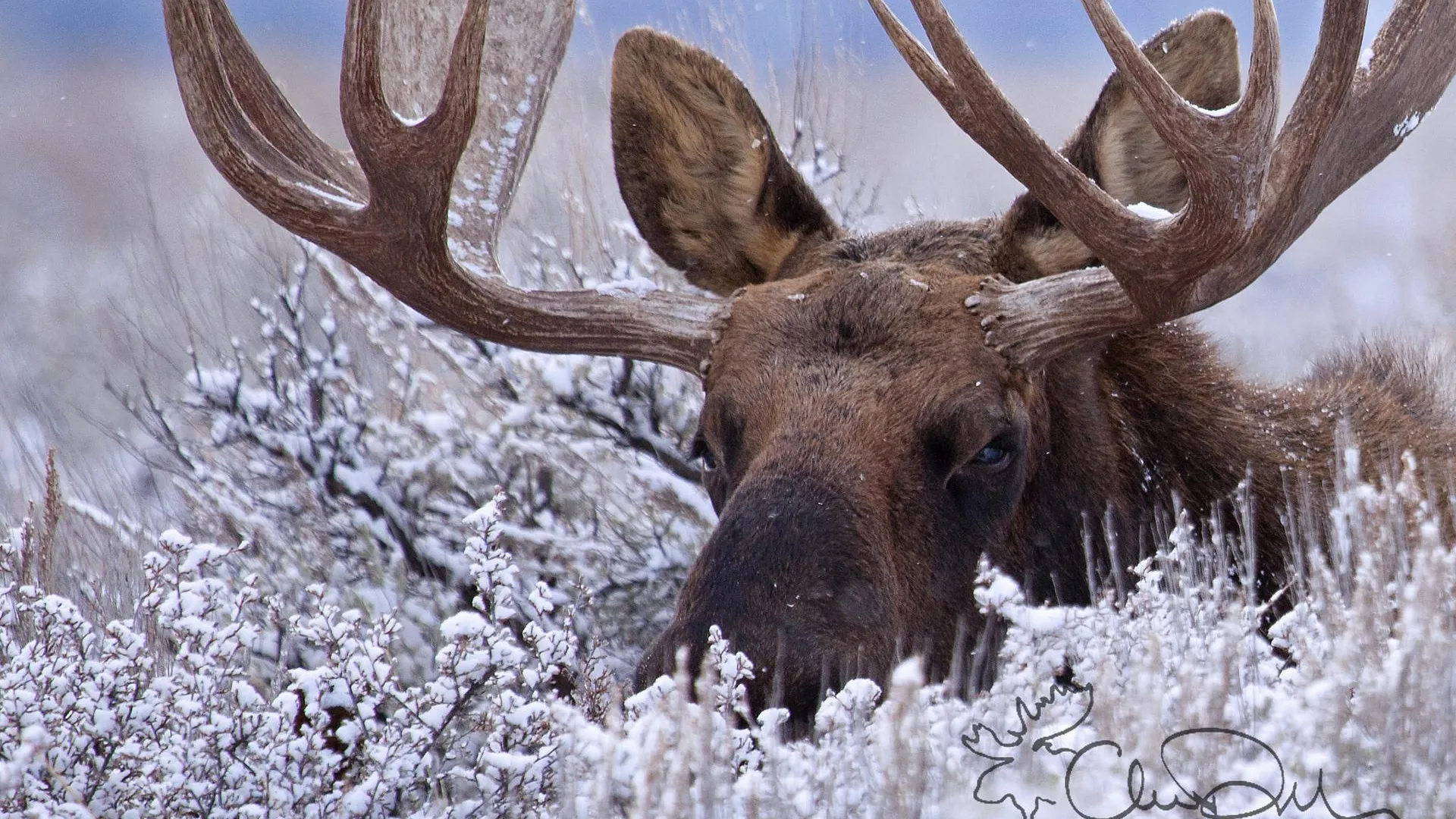 Фото: Pixabay.com