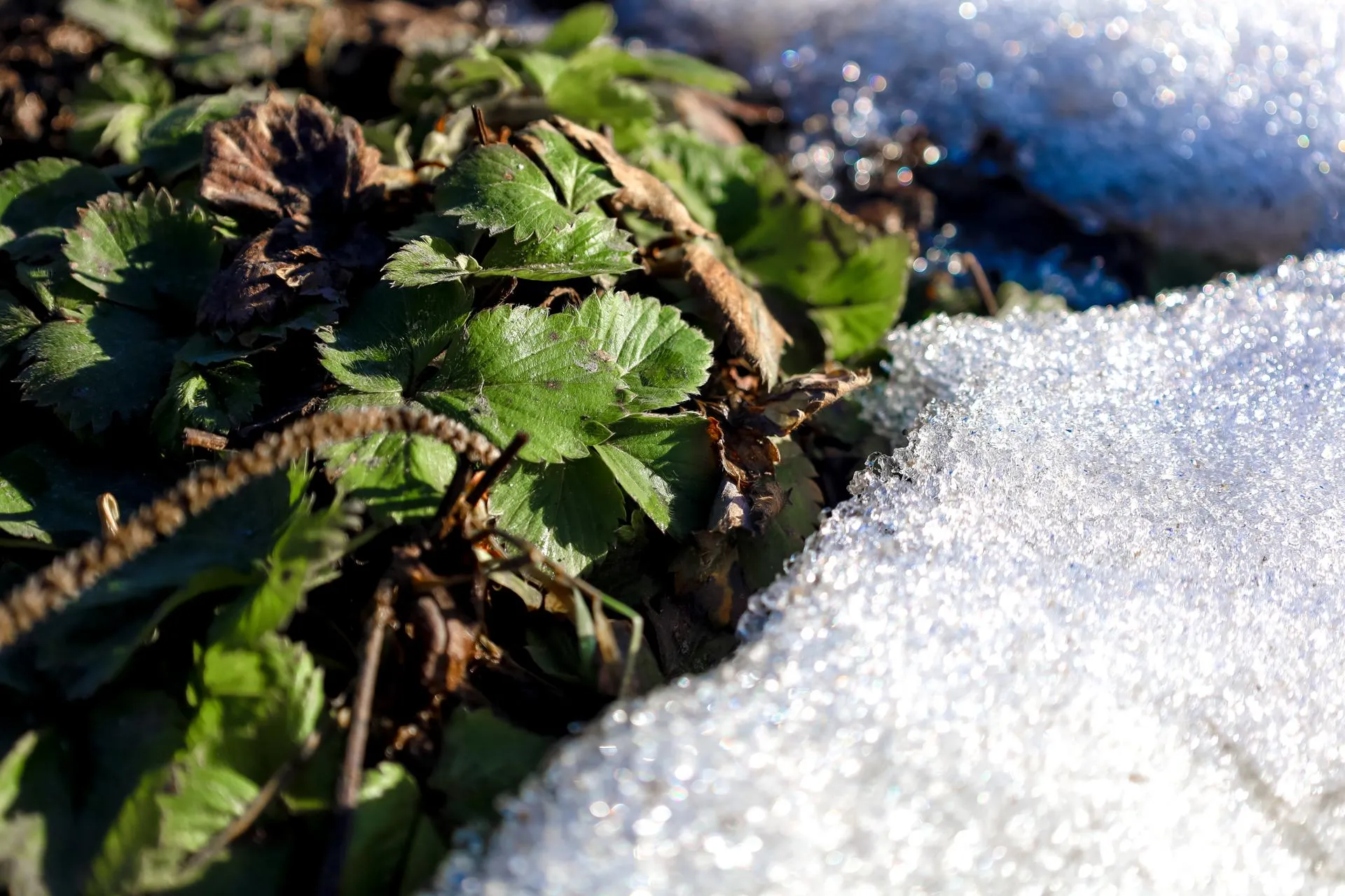 Elena Mayorova/Global Look Press