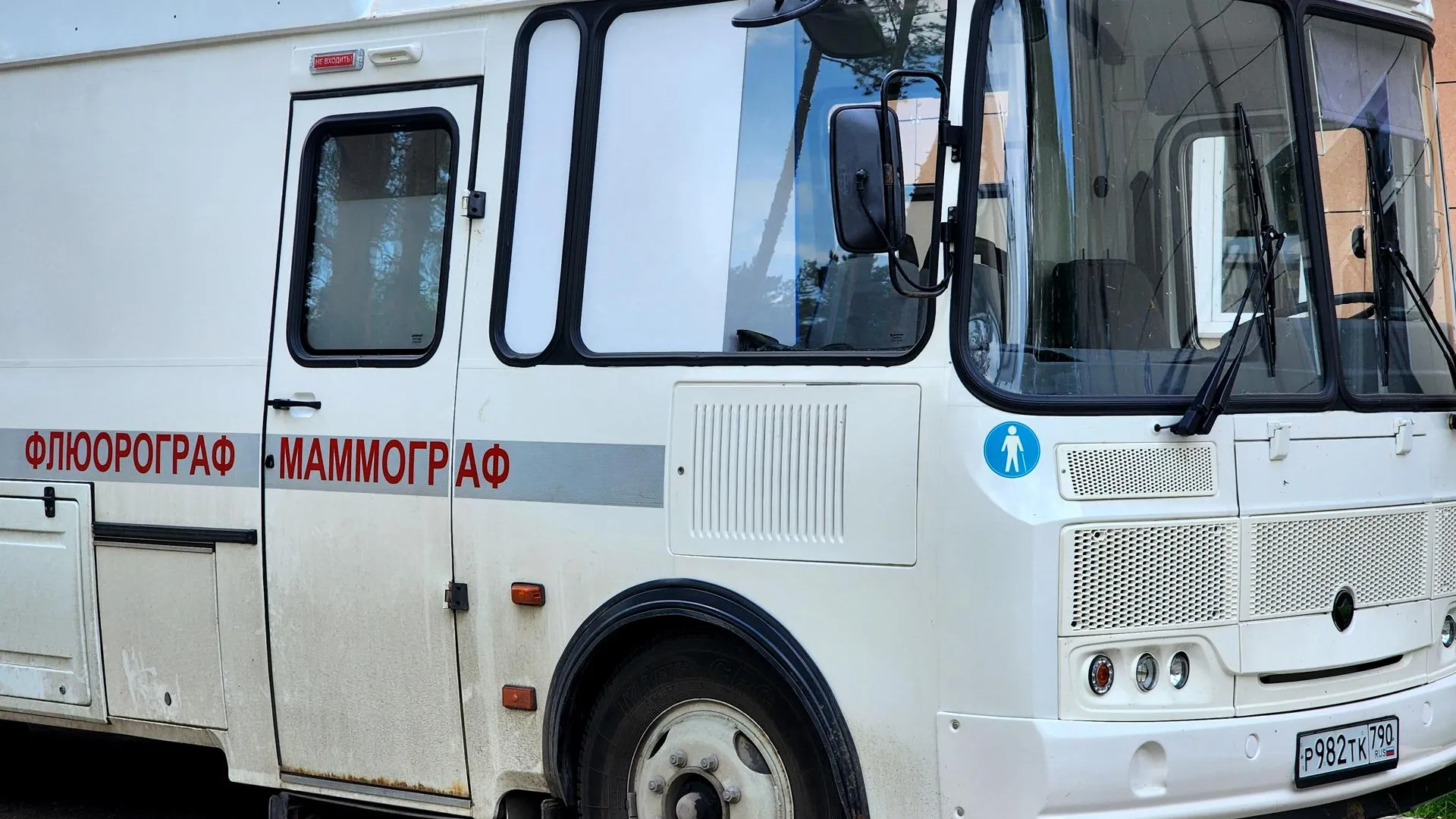 Фото: Полина Пахомова