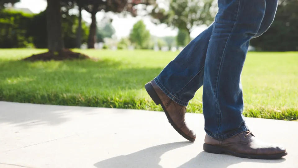 Фото: pxhere.com