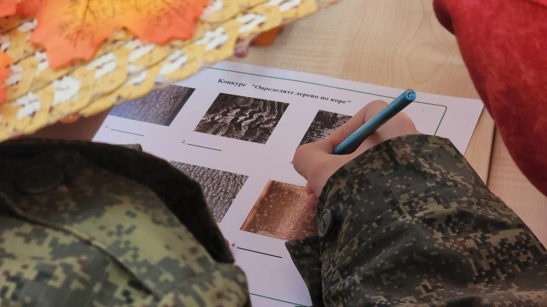 МедиаБанк Подмосковья/Андрей Алекин