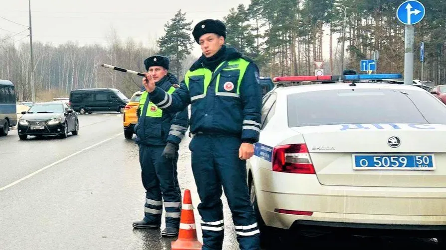 Фото: пресс-служба Госавтоинспекции по Московской области