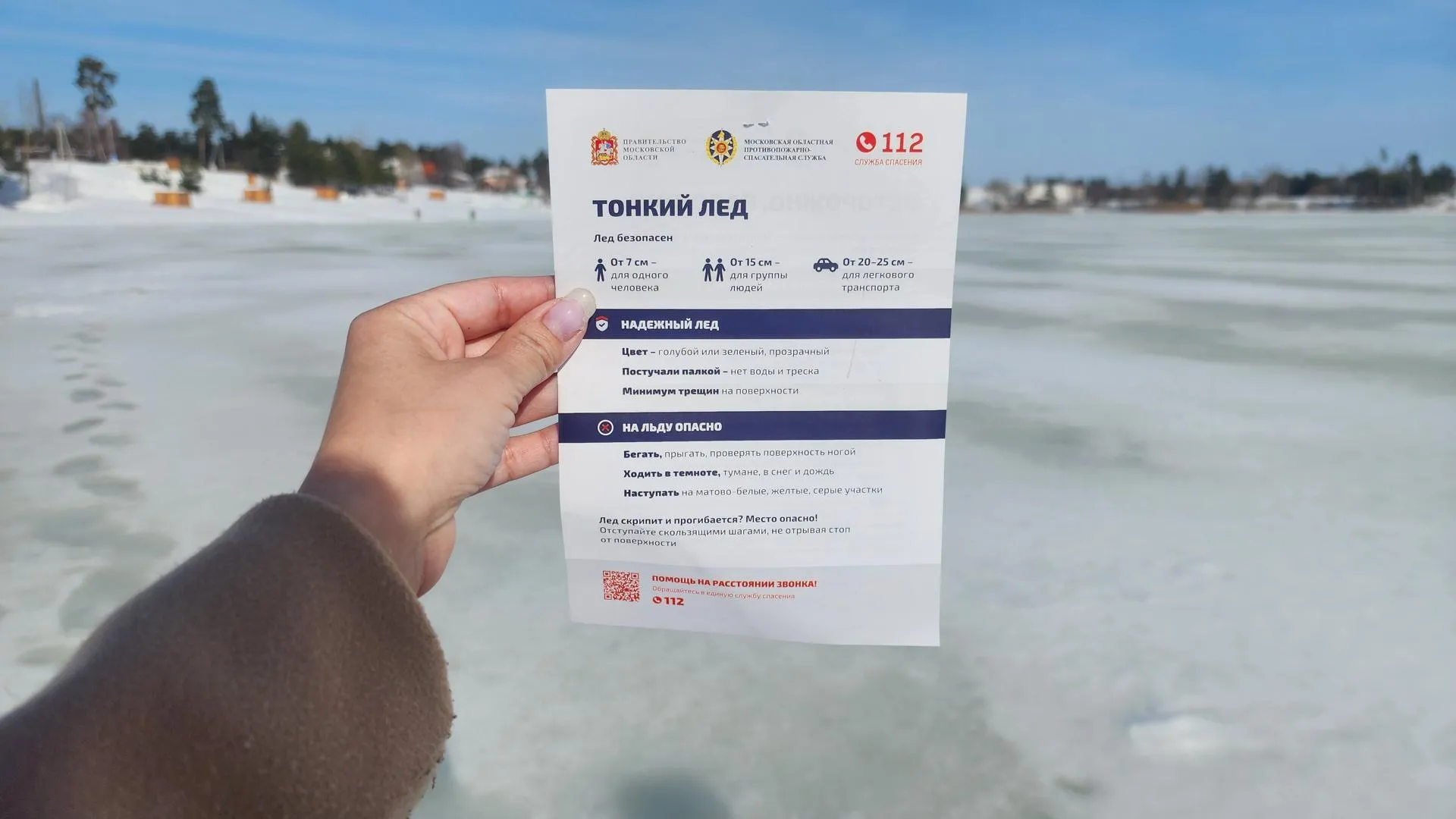 МедиаБанк Подмосковья/Ирина Моисеева