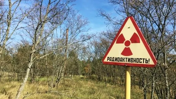 Дмитрий Виноградов / РИА Новости