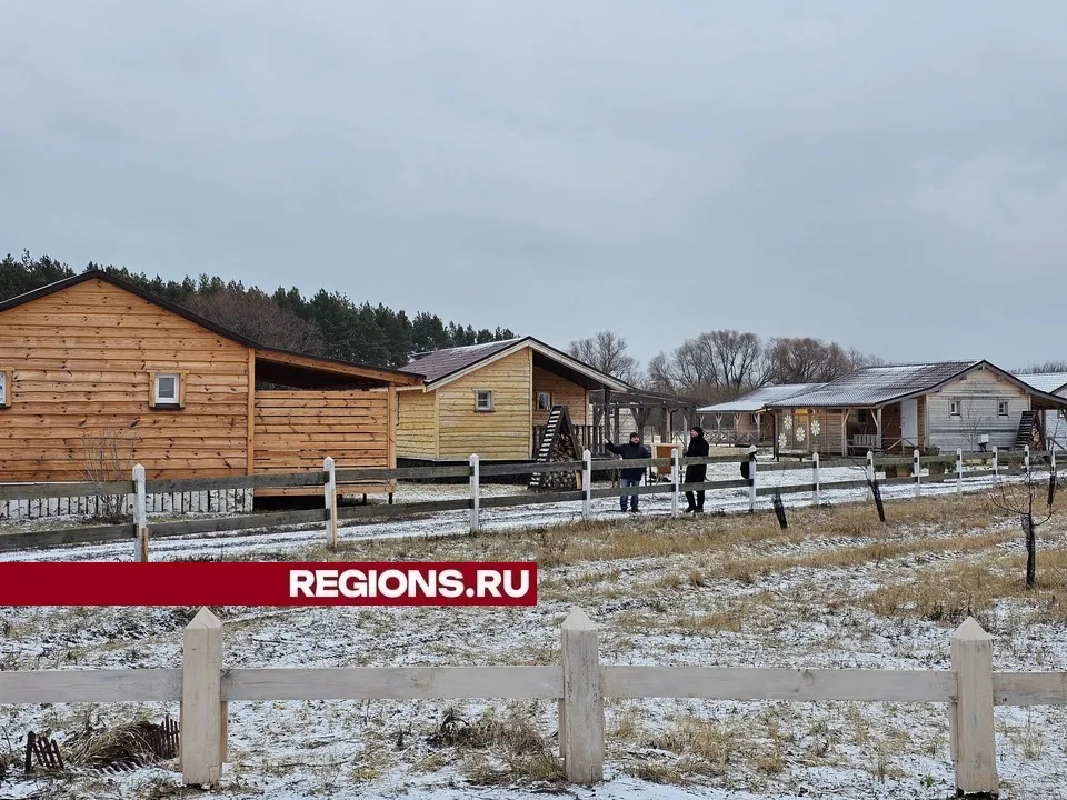 Фото: REGIONS/Александр Дрожжин