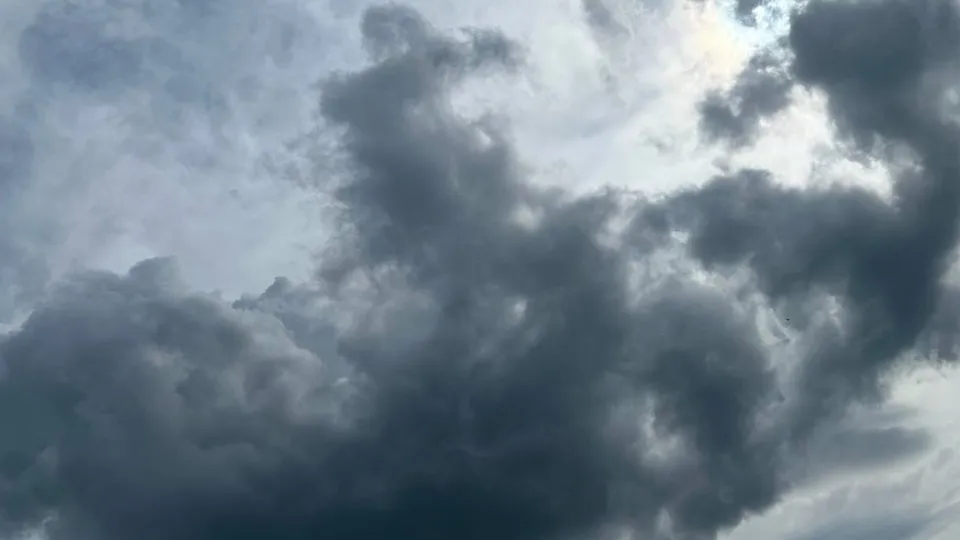 Фото: Елена Фурман