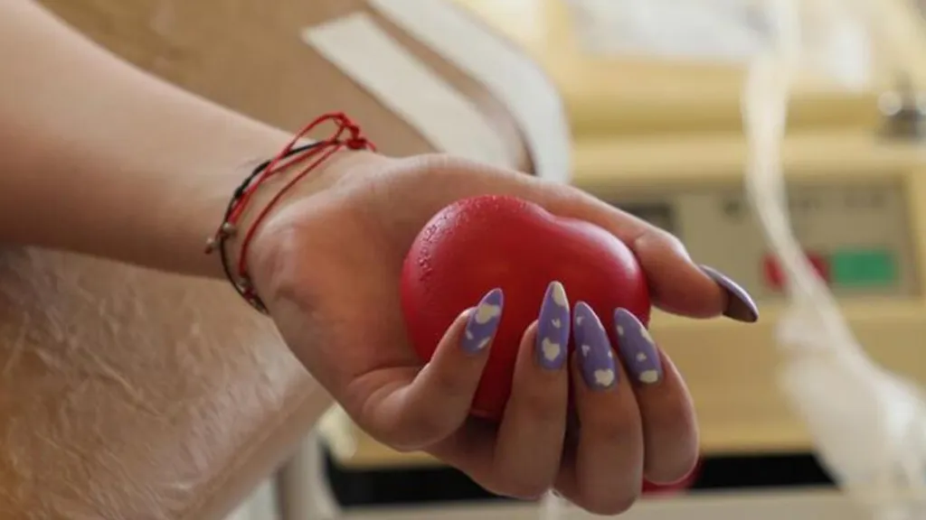 © Министерство социального развития Московской области