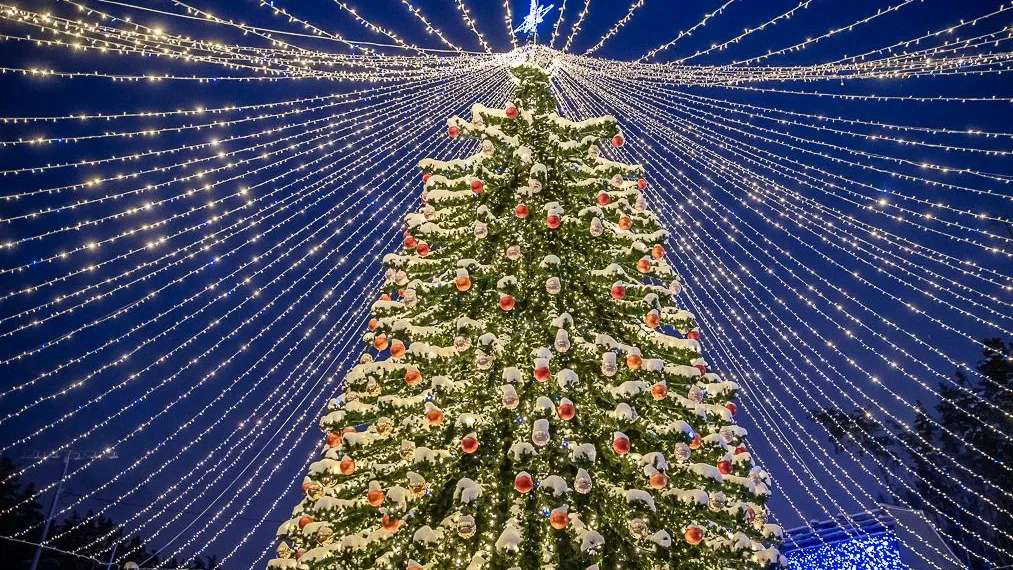 Фото: пресс-служба губернатора и правительства Московской области